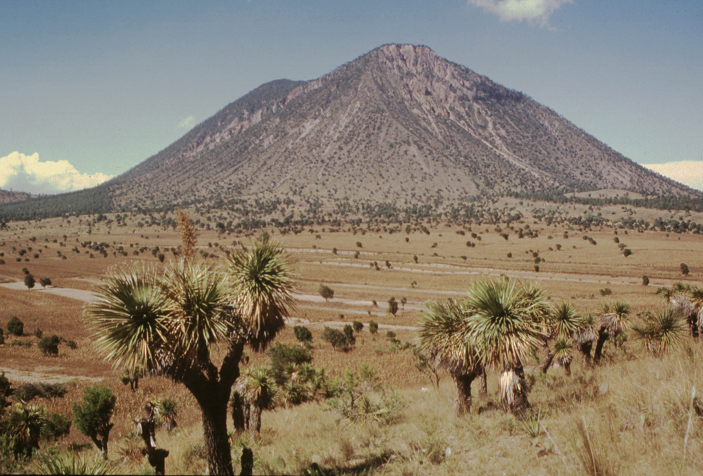 The SE-most of the two Las Derrumbadas lava domes is seen here from the SE. The extensively altered dome is surrounded by debris avalanche deposits. The more recent avalanche deposits consist almost entirely of microcrystalline rhyolite from the core of the dome. They left horseshoe-shaped collapse scarps such as the one visible to the upper right. These scarps reveal areas of intense alteration to kaolinite produced by prolonged fumarolic activity. Photo by Hugo Delgado-Granados, 1995 (Universidad Nacional Autónoma de México).