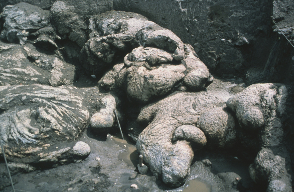 Pillow lavas from Xitle are exposed near the Cuicuilco Ceremonial Center, Mexico City. It is thought that the basaltic lava flows entered into a pond, causing the formation of pillow structures. The possibility that these flow textures indirectly represent "man-made" pillows (entering an artificial pond) has been considered. Photo by Hugo Delgado, 1997 (Universidad Nacional Autónoma de México).