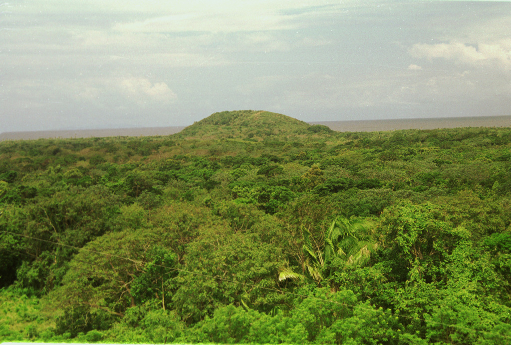 Pumpkin Hill, a small pyroclastic cone at the NE end of Utila Island, is seen here across a forest from Stuert Hill, the other pyroclastic cone on the eastern side of the island.  The two cones lie about 2 km apart and were constructed over flat-lying terraces that cover much of the elongated, 3 x 11 km wide island.  Alkaline olivine-basaltic lava flows erupted from the cones cover much of the eastern side of the island and underlie the forest in this photo.  The Caribbean Sea lies in the background to the NE. Photo by Rick Wunderman, 1999 (Smithsonian Institution).