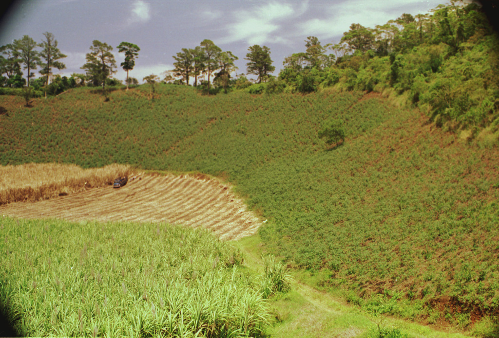 A large low-rimmed crater lies immediately WNW of Cerro el Hoyo.  The floor of the crater has been planted with sugar cane, and other crops line the walls of the crater.  The scale of the 1-km-wide crater is deceiving--note the barely visible truck and sugar cane workers on the crater floor at the left center. Photo by Rick Wunderman, 1999 (Smithsonian Institution).