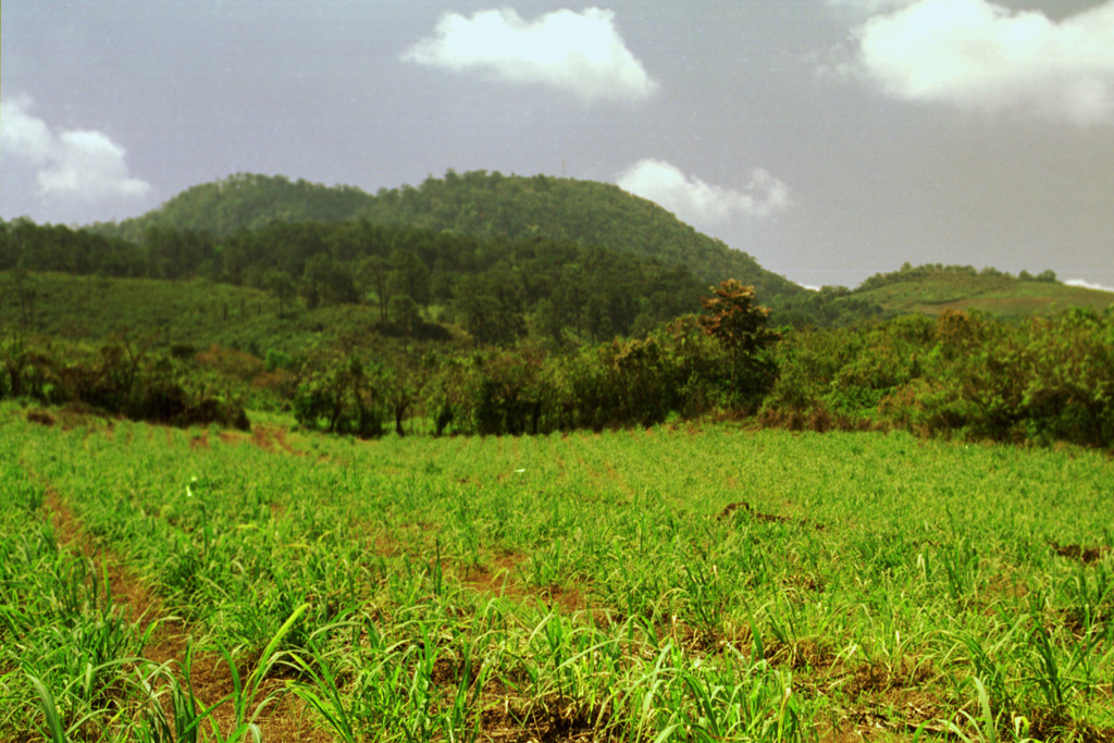 This eastern side of forested Cerro Babilonia cinder cone rises above fields north of Lake Yojoa in north-central Honduras.  The 1090-m-high cone is the highest of a chain of Pleistocene-to-Holocene scoria cones at the northern end of the lake.  The cones were constructed along orthogonal NW-SE- and NE-SW-trending lines and consist of basaltic scoria and agglutinate.  The are typically 100-200 m in height and several contain well-preserved craters.  Lava flows radiate in all directions from the cones.   Photo by Rick Wunderman, 1999 (Smithsonian Institution).