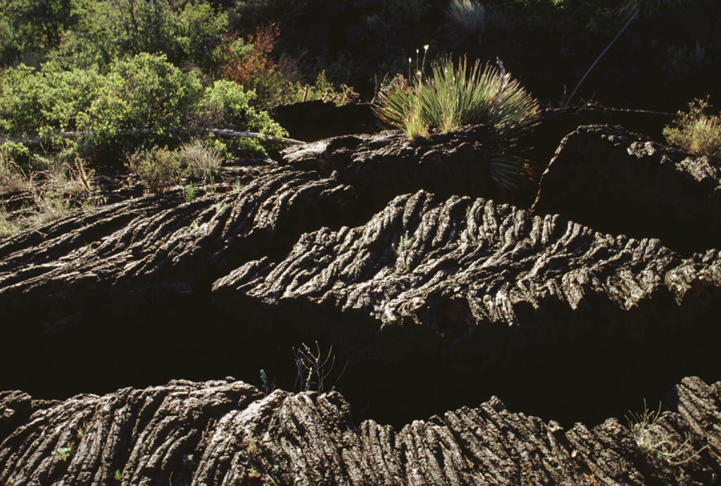 Fractures cut the surface of a roughly 5000-year-old ropy pahoehoe lava flow in south-central New Mexico.  Lava flow textures such as these are formed when molten lava continues to flow underneath the cooled plastic skin, causing the surface to bunch up or wrinkle into a form that resembles coiled rope.  Highway 380 cuts across the northern part of the Carrizozo lava flow, providing access to the flow.  Photo by Lee Siebert, 1999 (Smithsonian Institution).