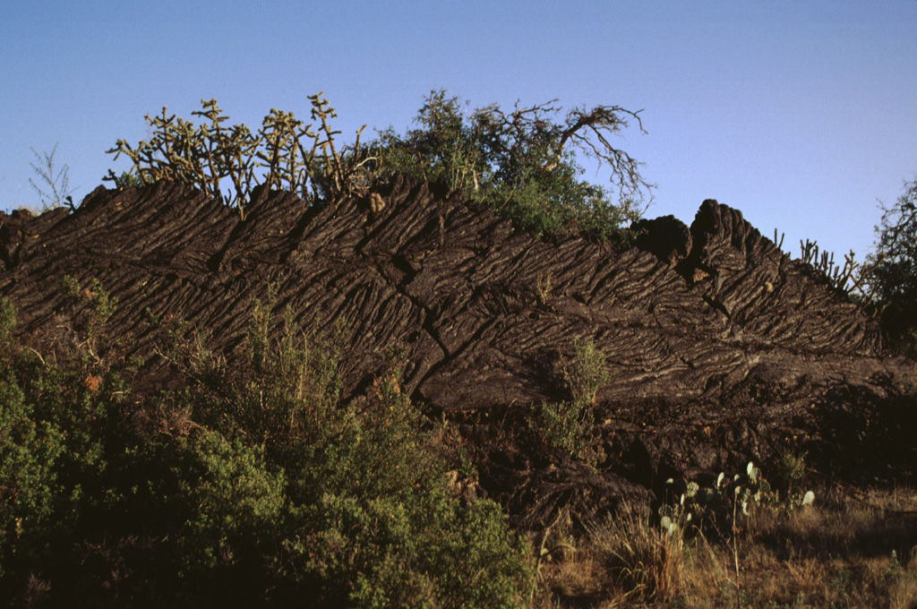 Slabs of basaltic pahoehoe lava are tilted along a pressure ridge of the Carrizozo lava flow in New Mexico.  This massive tube-fed pahoehoe flow displays abundant evidence of inflation features such as tumuli, pressure ridges, and lava pits.  Tumuli form when brittle crust buckles to accommodate the inflating core of the flow, thus creating a central crack along the length of the tumulus. These structures sometimes grade into elongated features called pressure ridges. Photo by Lee Siebert, 1999 (Smithsonian Institution).