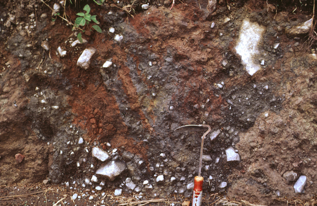The mottled color characteristic of debris avalanche deposits is visible in a roadcut near the town of Cuesta de Piedra, south of Volcán Barú along the road to Hato del Volcán. A massive debris avalanche deposit produced by flank collapse extends southward to beyond the Pan-American highway. Photo by Lee Siebert, 1998 (Smithsonian Institution).