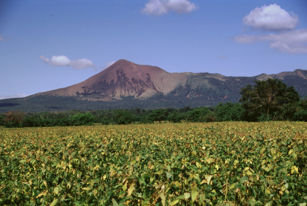 Telica volcano, seen here from the León-Chinandega highway, is one of a group of interlocking cones and vents along a NW trend.  The summit of Telica, which is one of Nicaragua's most active volcanoes, is unvegetated, and deep erosional gulleys have been dissected into the lower flanks of the cone.  Frequent historical eruptions have been recorded at Telica since the 16th century. Photo by Lee Siebert, 1998 (Smithsonian Institution).