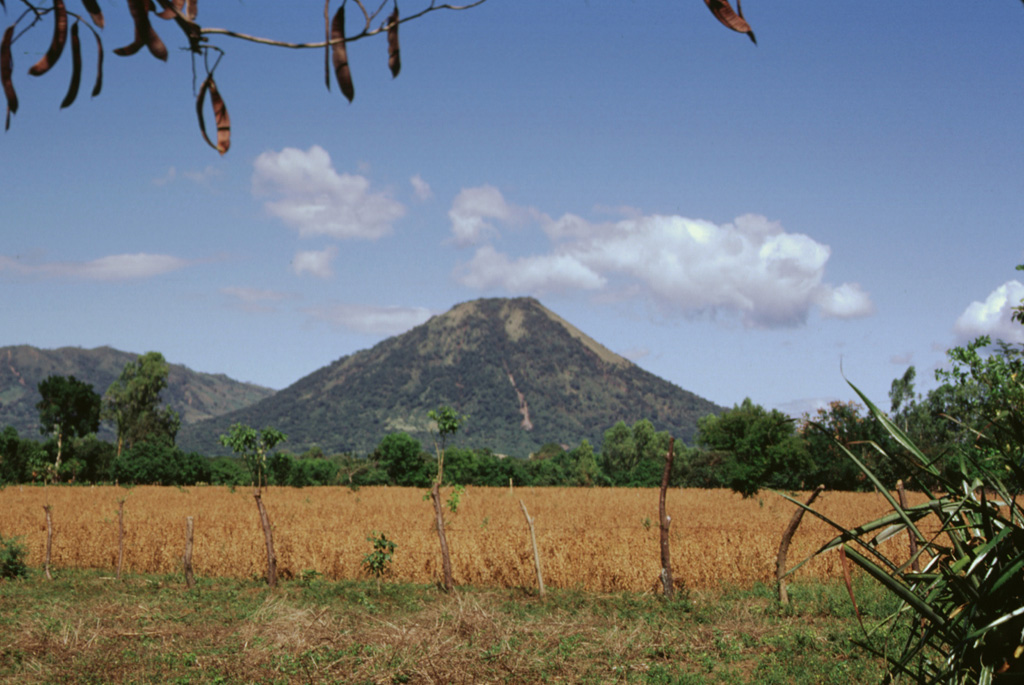 Conical Santa Clara volcano lies at the SE end of the Telica volcanic complex.  The 834-m-high stratovolcano, seen here from the south, has a small summit crater about 150 m in diameter.  Santa Clara was considered to have been active during the 16th century, and early explorers reported the volcano to be smoking, but no specifically dated eruptions have been recorded. Photo by Paul Kimberly, 1998 (Smithsonian Institution).