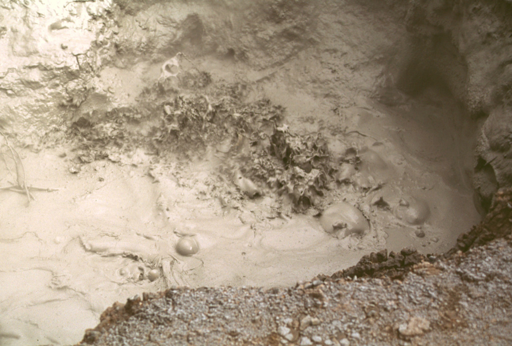 The Aguas Termales geothermal field on the lower southern flank of Rincón de la Vieja volcano contains mud pools like this one. Several geothermal areas occur along a NW trend at the base of the volcano. Soil mercury studies delineate a fault parallel to the volcanic front that connects the geothermal sites. Photo by Lee Siebert, 1998 (Smithsonian Institution).