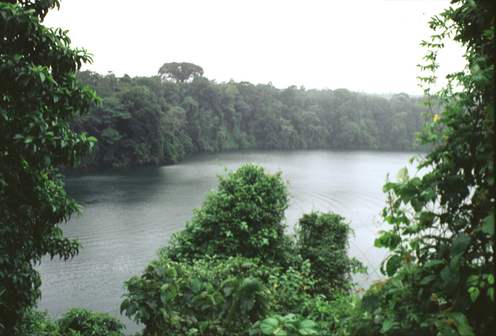 The Laguna Río Cuarto maar is at the northern end of a chain of vents extending to about 18 km from Poás volcano. The 600 x 750 m wide maar has a maximum depth of 66 m and the crater walls rise 4-20 m above the lake surface. The maar erupted through lahar and alluvial deposits on the coastal plain at an elevation of about 400 m above sea level. Photo by Paul Kimberly, 1998 (Smithsonian Institution).