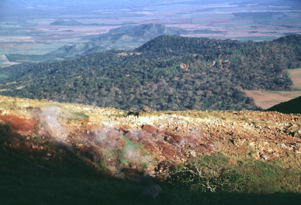 Steam rises from fumaroles in an area of hydrothermally altered ground east of the summit of Casita volcano.  The forested slopes in the middle distance to the NE are the flanks of La Pelona caldera, whose floor forms the light-colored area at the right-center.  The western part of the caldera was buried by lava flows and pyroclastic material from Casita. Photo by Lee Siebert, 1998 (Smithsonian Institution).