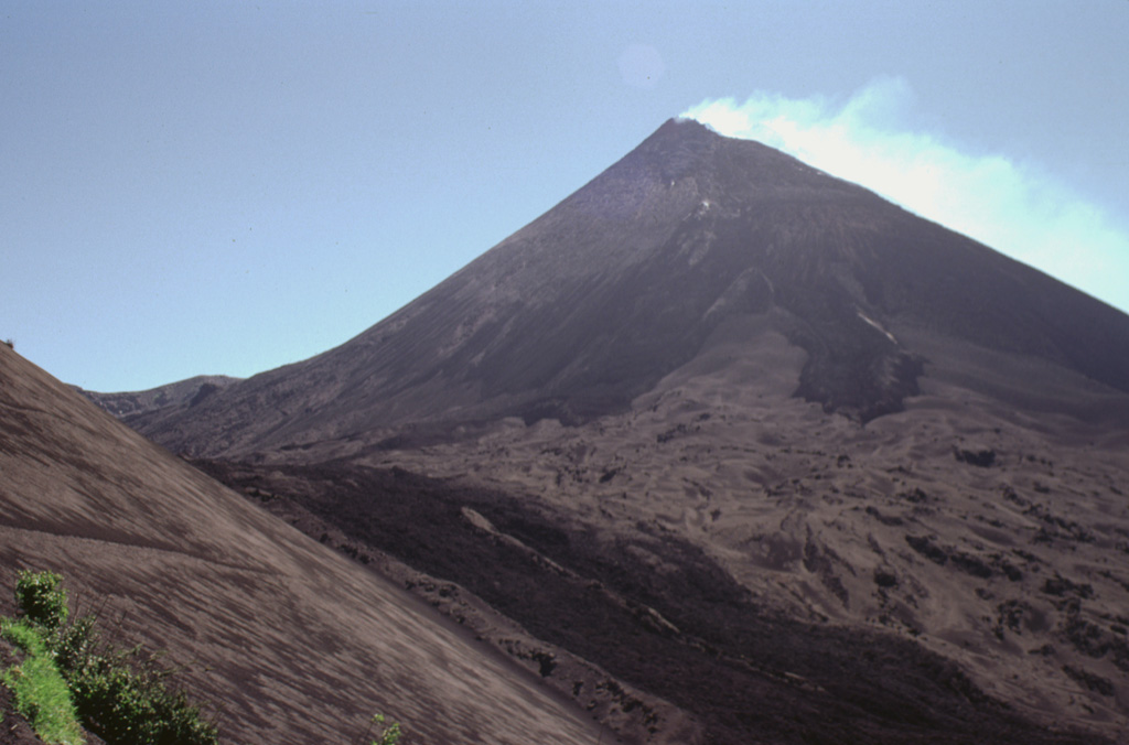 The degassing MacKenney cone at Pacaya is seen here from the NW below Cerro Chino scoria cone, whose ash-covered flank appears to the left. Darker lava flows that were erupted in 1998 descend from the summit and down the moat to the left. This flow and the two dark lobes above were erupted during the 18-19 September 1998 eruption. Lighter tephra deposits between the flows cover previous lava flows. Photo by Paul Kimberly, 1999 (Smithsonian Institution).