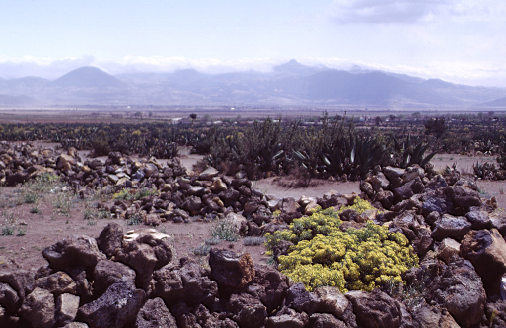 The western side of La Gloria volcanic complex rises above the Serdán Oriental basin. This complex forms a sparsely populated volcanic highland between Cofre de Perote and Las Cumbres volcanoes. Numerous cones are scattered throughout the complex on both sides of two major east-facing escarpments. Photo by Lee Siebert, 2000 (Smithsonian Institution).