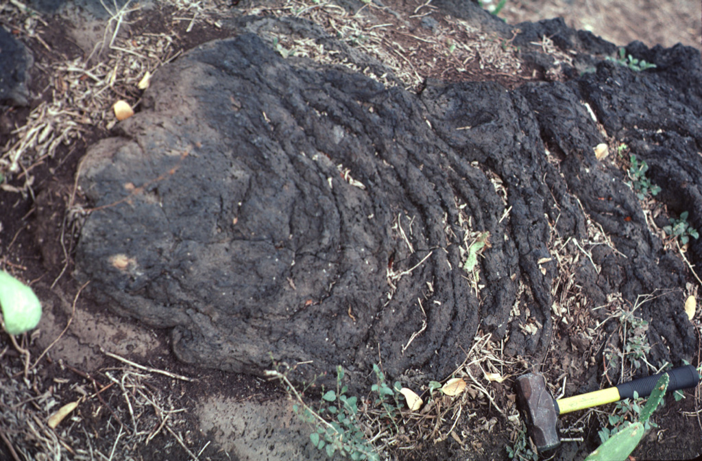 The wrinkled surface of a pahoehoe lava flow of Los Flores volcanic field is exposed near the town of Nuevo Morelos.  The basaltic lava flow, seen here about 35 km from its source at Cerro Partido, traveled about 80 km to the SSE down a narrow valley in the Sierra Madre Oriental. The geologic hammer at the lower right provides scale. Photo by Jim Luhr, 2000 (Smithsonian Institution).