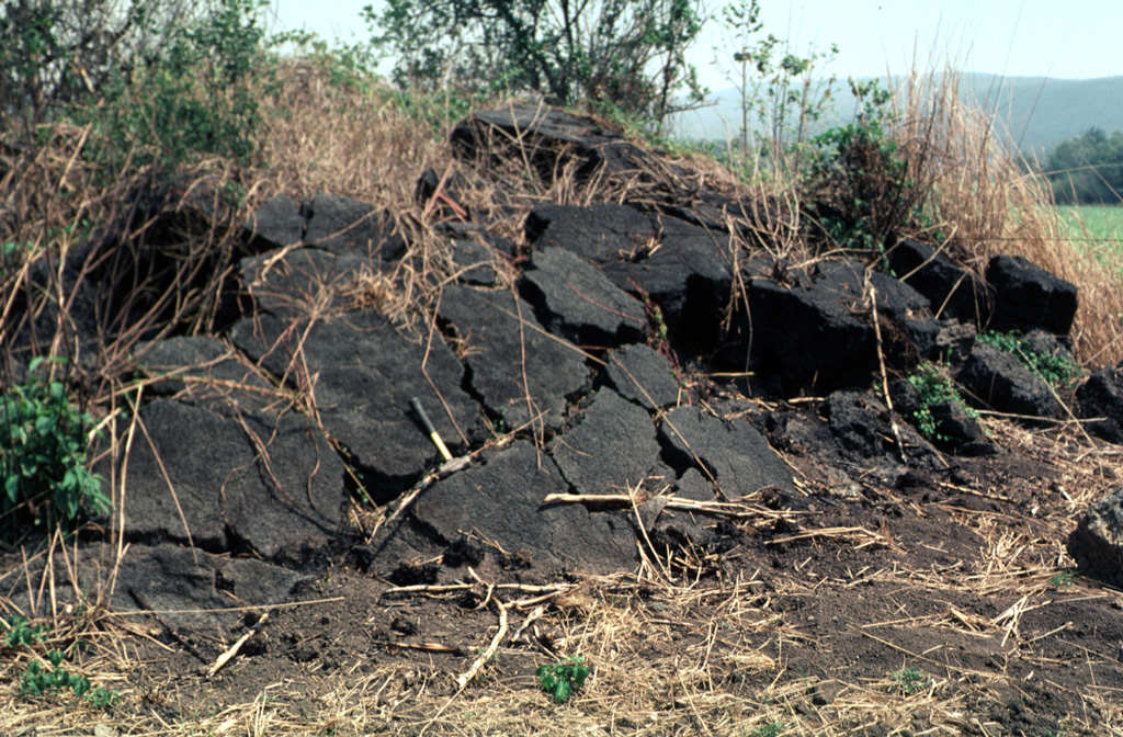 A pressure ridge on the surface of a lava flow from El Molcajete pyroclastic cone rises above agricultural lands on the valley floor about 2 km SW of Molcajete.  The flow is one of the youngest from the Los Flores volcanic field in the Sierra Madre Oriental. Photo by Jim Luhr, 2000 (Smithsonian Institution).