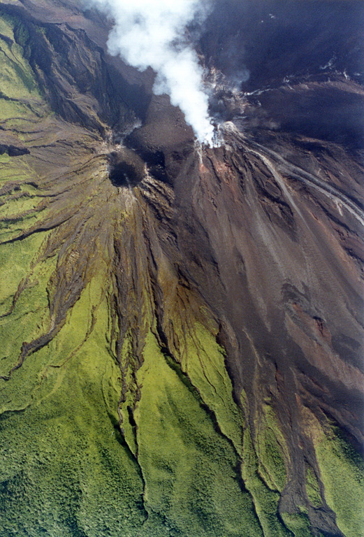 An active lava flow with small plumes rising from the margins can be seen at the upper right descending the Arenal NNW flank from the degassing Crater C complex on 29 June 1999. Below it, descending diagonally NE to the lower right, is another recent flow with clear lateral levees. The inactive crater to the left is Crater D, the pre-1968 summit crater.  Photo by Federico Chavarria Kopper, 1999 (courtesy of Eduardo Malavassi, OVSICORI-UNA).