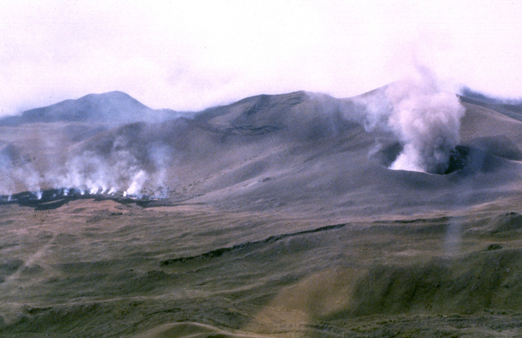 Plumes rise from a crater and a lava flow near the summit of Mount Cameroon in 1982. More than 100 small cinder cones, often fissure-controlled parallel to the long axis of the massive 1,400 km3 volcano, occur on the flanks and surrounding lowlands. During historical time, explosive and effusive eruptions have occurred from both summit and flank vents. In 1922, a lava flow from a SW-flank vent reached the Atlantic Ocean. Photo by Daniel Kergomard, 1982 (courtesy of J.G. Fitton, BRGM, France).