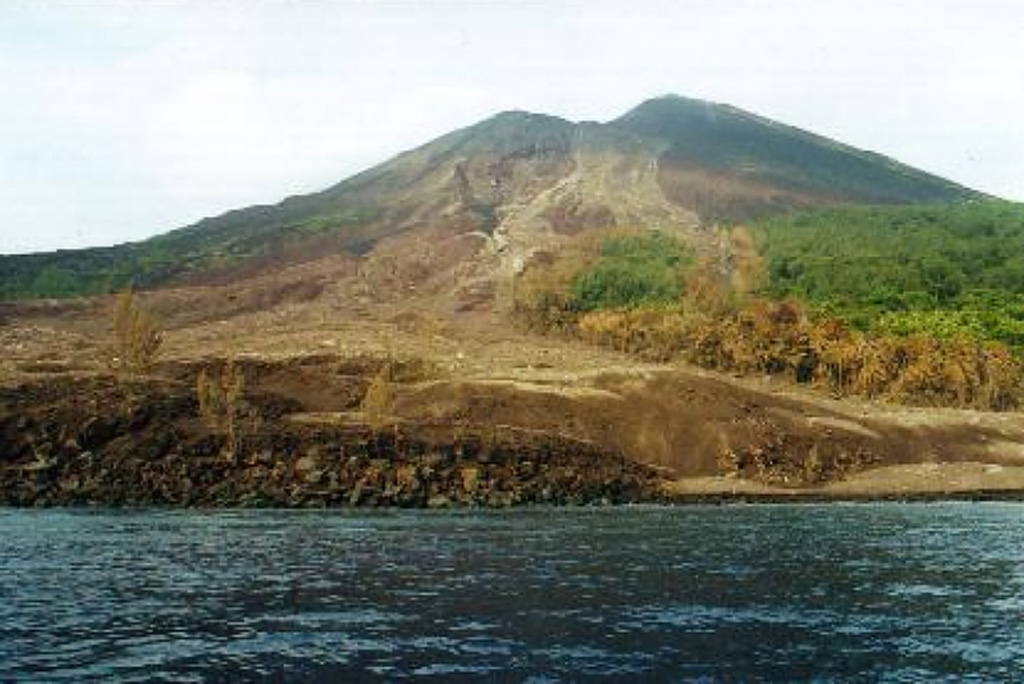 Charred vegetation marks the path of a pyroclastic flow on the SW flank of Lopevi on 19 February 2000. This view, taken 4 days later, shows part of the new 300-m-wide delta where the pyroclastic flow reached the sea. This was part of an ongoing eruption that began in July 1998. Intermittent explosive eruptions took place from the main 1963 crater (just NW of the central crater) and a small lava flow traveled 100 m within the crater.  Photo by John Seach, 2000.