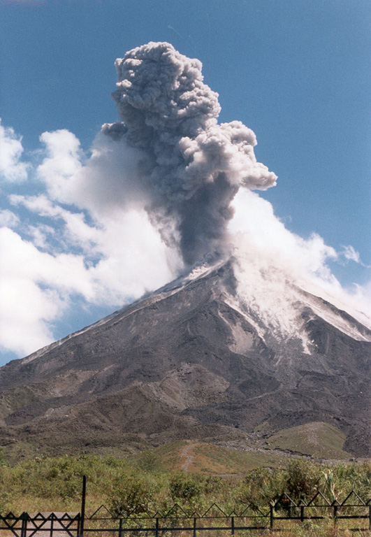 An ash plume rises above Arenal on 2 June 1998, seen here from the west flank. Routine intermittent explosive activity had resumed at this time following major pyroclastic flows on 5 May. Lava flows from the long-lived eruption that began in 1968 can be seen on the volcano's flanks.  Photo by Jorge Barquero, 1998 (OVSICORI-UNA).