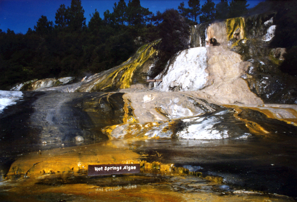 Algae colors the surface of siliceous sinter terraces at the Orakei Korako thermal area. This geothermal area is one of the principal hydrothermal fields of the Taupo Volcanic Zone. It lies on the banks of the Waikato River where the Paeroa Fault divides into smaller branches that intersect the E margin of the Maroa Volcanic Center. Orakei Korako contains sinter sheets covering an area of about 1 km2. Flooding of the river hydroelectric power generation has drowned about 70% of the hot springs. Photo by Richard Wysoczanski, 1994 (Smithsonian Institution).