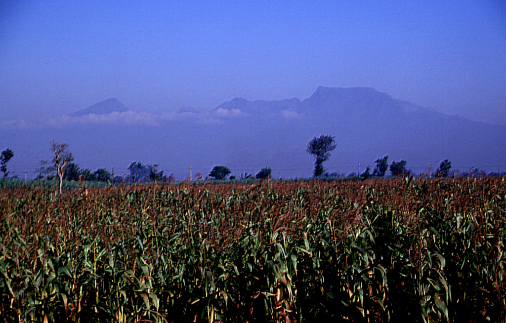 The irregular summit profile of Gunung Wilis above fields on its eastern flank. Located between Lawu and Kelud volcanoes, it is surrounded by low-elevation plains on all but its southern side. Wilis formed during three episodes dating back to the mid Pleistocene and the youngest edifice is of Holocene age. Fumaroles and mud pots occur near Lake Ngebel on the lower western flank. Photo by Lee Siebert, 2000 (Smithsonian Institution).