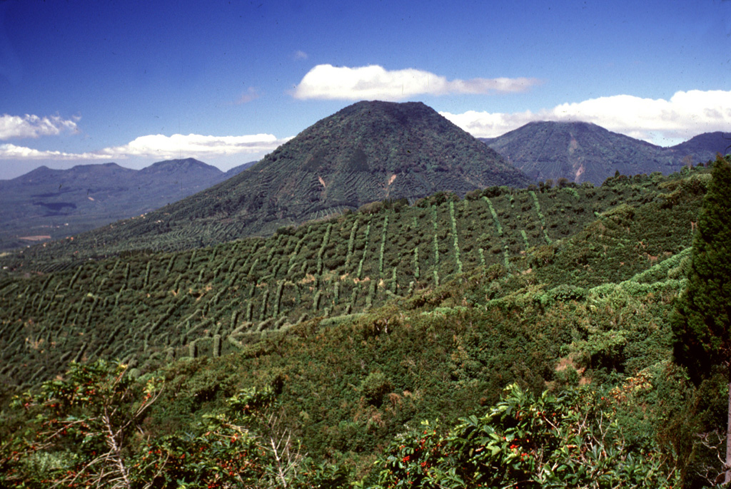 The escarpment across the middle of the photo with vertical rows of coffee plantation trees across the scarp in is the NW wall of a large caldera formed by edifice collapse of Santa Ana volcano during the late Pleistocene. About 5 km of the scarp is exposed; the remainder is buried beneath ejecta and lava flows from modern Santa Ana volcano. Cerro los Naranjos volcano rises beyond the scarp, and other peaks of the Apaneca range form the horizon on either side. Photo by Lee Siebert, 2002 (Smithsonian Institution).