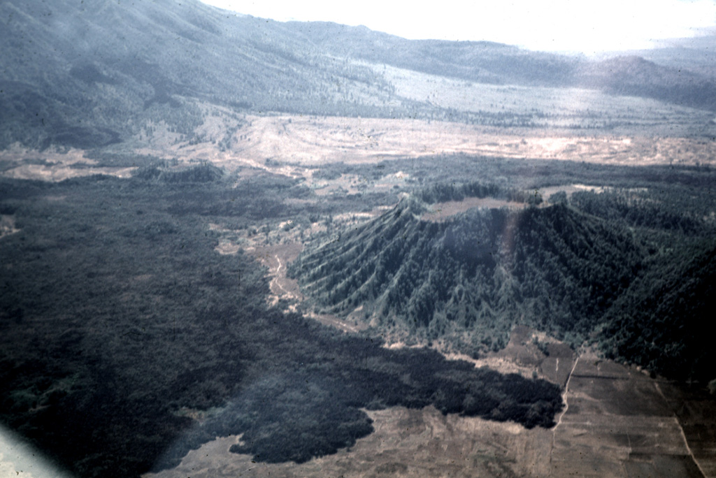 The dark Coapan andesite lava flow surrounds the Molcajete Grande cone (right center) on the NW flank of Ceboruco, whose slopes are visible to the upper left. The light-colored area across the upper part of the photo beyond the forested Coapan flow is the rhyodacite Destiladero lava flow.  Photo by Jim Luhr, 1979 (Smithsonian Institution).