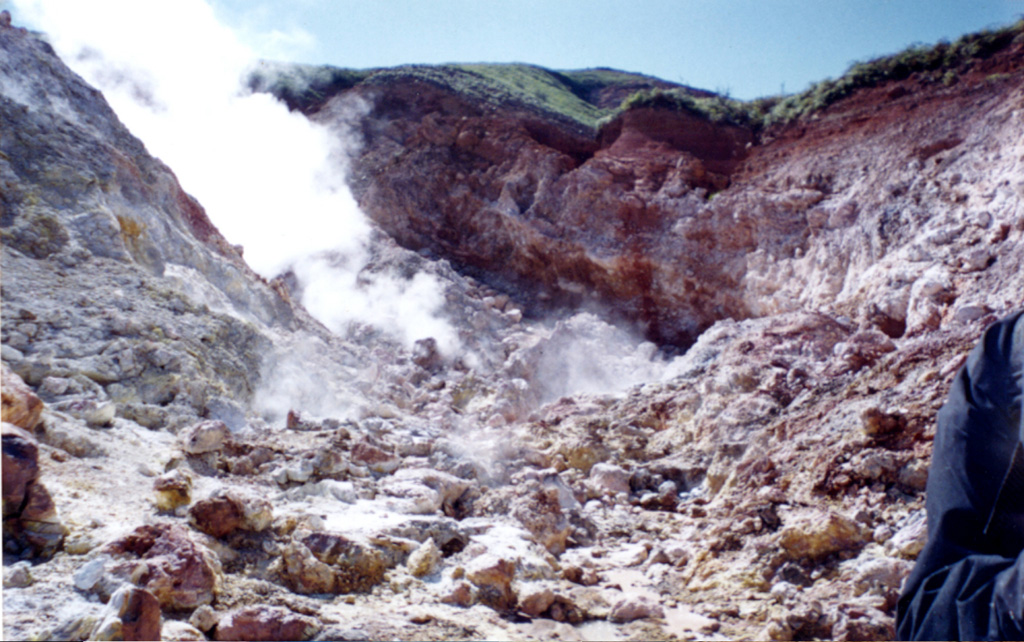 Hydrothermal alteration is extensive within the valley walls of a thermal area near the summit of Cerro Evermann. Gases rise from fumaroles in this 1998 view. The largest fumarolic vent is located at the head of a large barranca NE of the summit. During a 1957 visit by Mooser and Bryan, temperatures of 65-97°C were measured. Similar temperatures ranging from 61-101°C were measured in 1993. Photo by Martha Marin, 1998 (Mexican Navy).