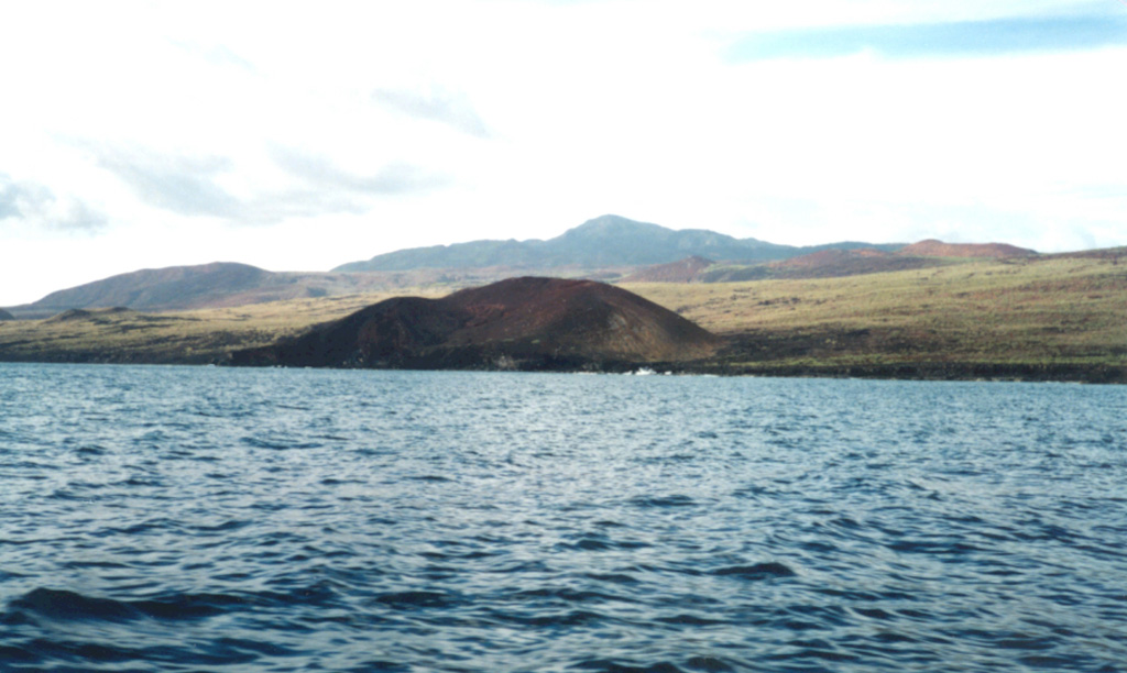 This cone lies along the SSE coast of Socorro Island, east of Cabo Rule (also known as Cabo Regla). The peak on the center horizon is Cerro Evermann, the high point of the island. Basaltic cones and lava flows of the Lomas Coloradas formation blanket the southern tip of the island. Although 80% of the surface of the island is covered by silicic post-caldera lava domes and flows and few pre-caldera rocks are exposed, the bulk of the Socorro shield volcano is considered to be composed of basaltic deposits. Photo by Martha Marin, 1998 (Mexican Navy).