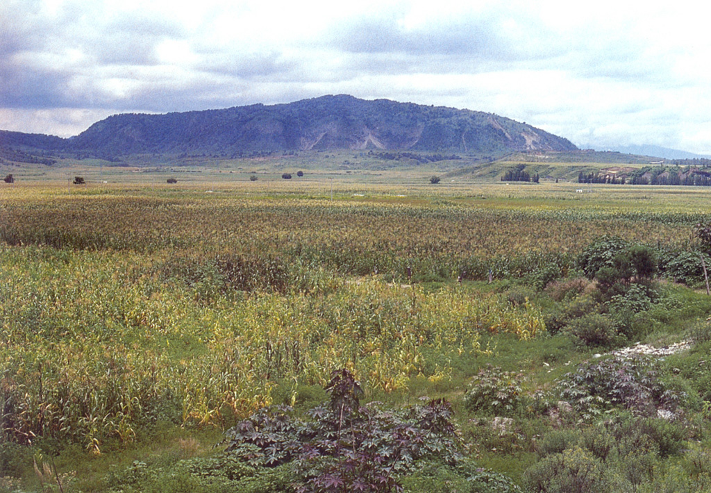The small Cerro El Colli is one of the youngest post-caldera domes of the Sierra La Primavera volcanic complex, immediately west of the city of Guadalajara. The dome, seen here from the south, has been dated to about 30,000 years and is the easternmost of several emplaced near the southern caldera rim. An 11-km-wide caldera formed as a result of the eruption of the 20 km3 Tala Tuff about 95,000 years ago. Fumaroles and hot springs are active throughout the volcanic complex. Photo by Hugo Delgado-Granados, (Universidad Nacional Autónoma de México).