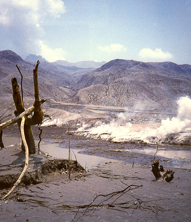 Pyroclastic surges completely devastated vegetation on the flanks of El Chichón out to distances up to 8 km from the crater. Hot pyroclastic flow and surge deposits are seen in this early April 1982 photo at Francisco León, 5 km SSW of the crater. Three major pyroclastic flows occurred on 3 and 4 April, devasting an area of 153 km2; all three surges reached Francisco León. Pyroclastic surges traveled over ridges as high as 300 m. Photo by Servando De la Cruz-Reyna, 1982 (Universidad Nacional Autónoma de México).