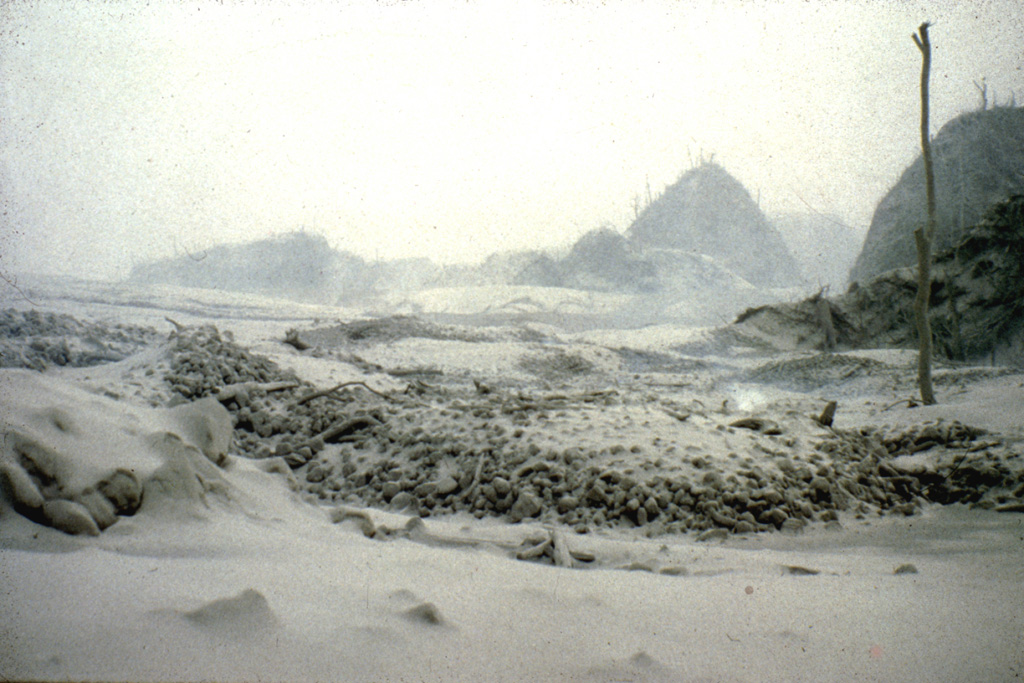 A pyroclastic flow lobe about 4 km NE of the crater, south of Nicapa, is seen within a day or two of its deposition on 4 April 1982. The Nicapa valley was the site of the most extensive pyroclastic flows of the 1982 El Chichón eruption. Up to three units are present, each 2-15 m thick and containing abundant pumice blocks 15-40 cm in diameter. Volcanic ash (fragmented rock, crystals, and glass) from the 4 April pyroclastic surges cover a broad radial area around the crater to distances 1.5 km beyond the extent of the pyroclastic flows in the Nicapa valley. Photo by Servando De la Cruz-Reyna, 1982 (Universidad Nacional Autónoma de México).