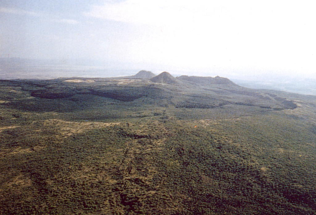 The broad Emuruangogolak shield volcano is situated at a narrow constriction in the East African Rift. The volcano is capped by a 5 x 3.5 km wide summit caldera. The trachytic lava cone of Emuruepoli and its associated dome are visible on the N rim of the caldera. Since caldera formation about 38,000 years ago, trachytic and basaltic lava flows have been erupted within the caldera and on the flanks. The latest eruption occurred less than one hundred years ago. Photo by Martin Smith, 1993 (copyright British Geological Survey, NERC).