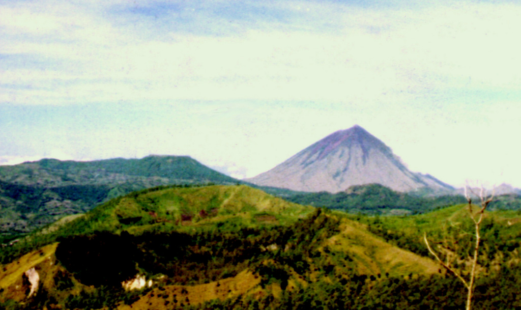 Two of the many summit craters of Inielika can be seen in the left foreground. It is a broad, low volcano in central Flores Island that was constructed within the Lobobutu caldera. The complex summit includes ten craters, some of which contain lakes. A phreatic explosion that formed a new crater in 1905 was the volcano's only eruption during the 20th century. Inierie volcano is the prominent peak on the right horizon. Photo by Volcanological Survey of Indonesia.