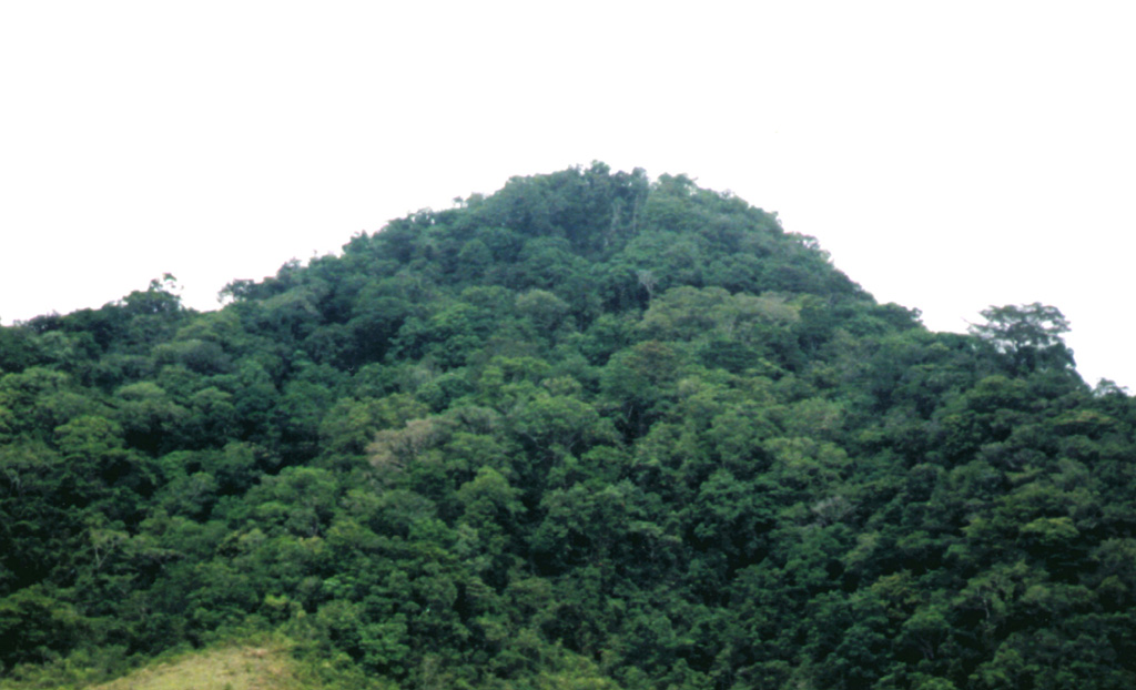 The summit of Leroboleng contains 29 small craters, with two containing lakes, and one containing a small lava dome. It is located at the eastern end of a 4.5-km-long, WSW-ESE-trending chain of three volcanoes within a narrow peninsula in NE Flores Island.  Photo by Volcanological Survey of Indonesia.