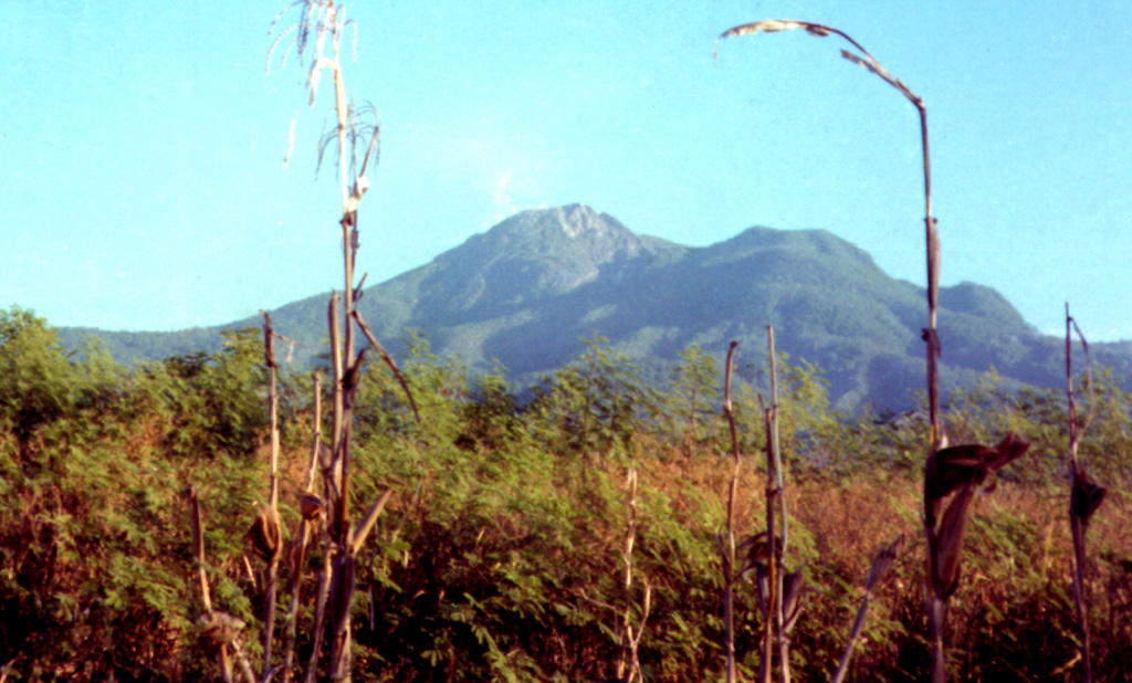 A lava dome (center) occupies the summit of Egon volcano. It is located in a narrow stretch of eastern Flores Island and its lower flanks extend nearly to both the Flores Sea to the N and the Savu Sea to the S. The unvegetated summit has a 350-m-wide, 200-m-deep crater that sometimes contains a lake. Other small crater lakes occur on the flanks. Photo by Volcanological Survey of Indonesia.