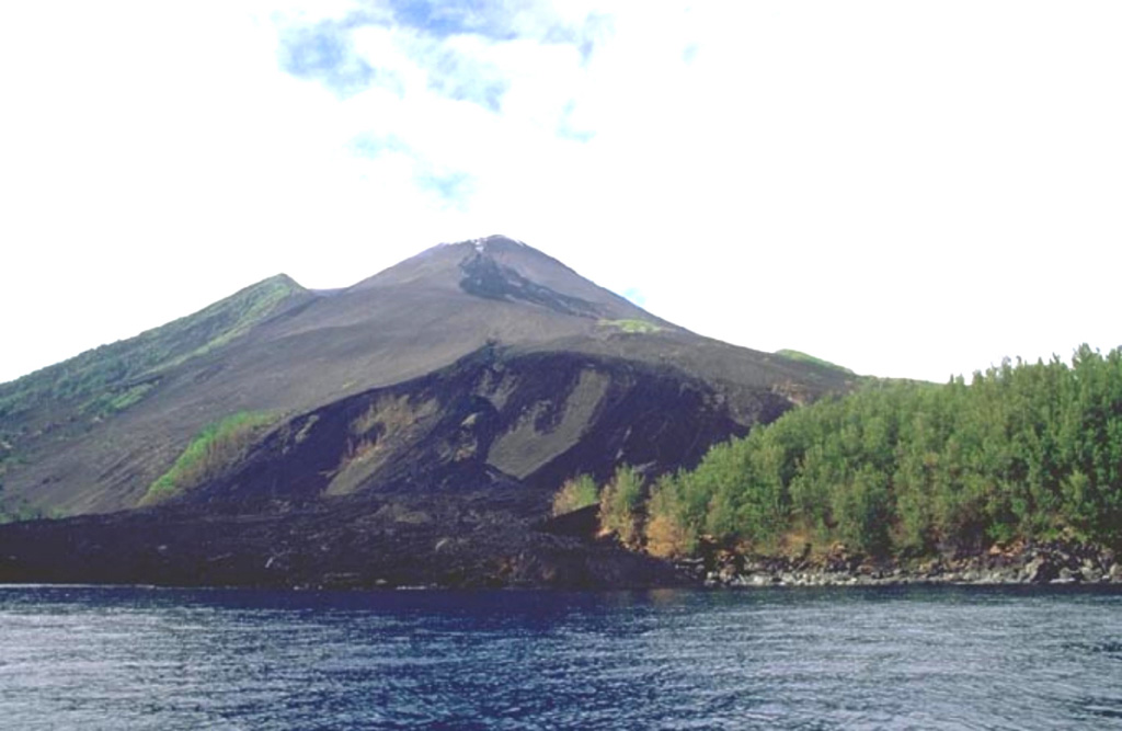 Lava flows erupted in 2000 from vents on the lower NW flank of Lopevi volcano and flowed into the sea. Many historical eruptions have occurred along the same NW-SE-trending fissure that cuts across the island, and the lava flows along this fissure near the summit also erupted in 2000. Copyrighted photo by Marco Fulle, 2000 (Stromboli On-Line, http://stromboli.net).