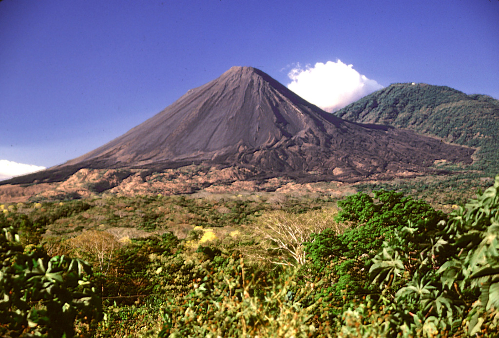 A lava flow field is at the base of Izalco composed of flows that mostly erupted from flank vents. They were deflected by the flank of Santa Ana and extend as far as about 7 km from the Izalco summit. The vegetated Cerro Verde scoria cone is to the right and is part of a trend of cones and vents that erupted SE of Santa Ana. Photo by Lee Siebert, 2002 (Smithsonian Institution).
