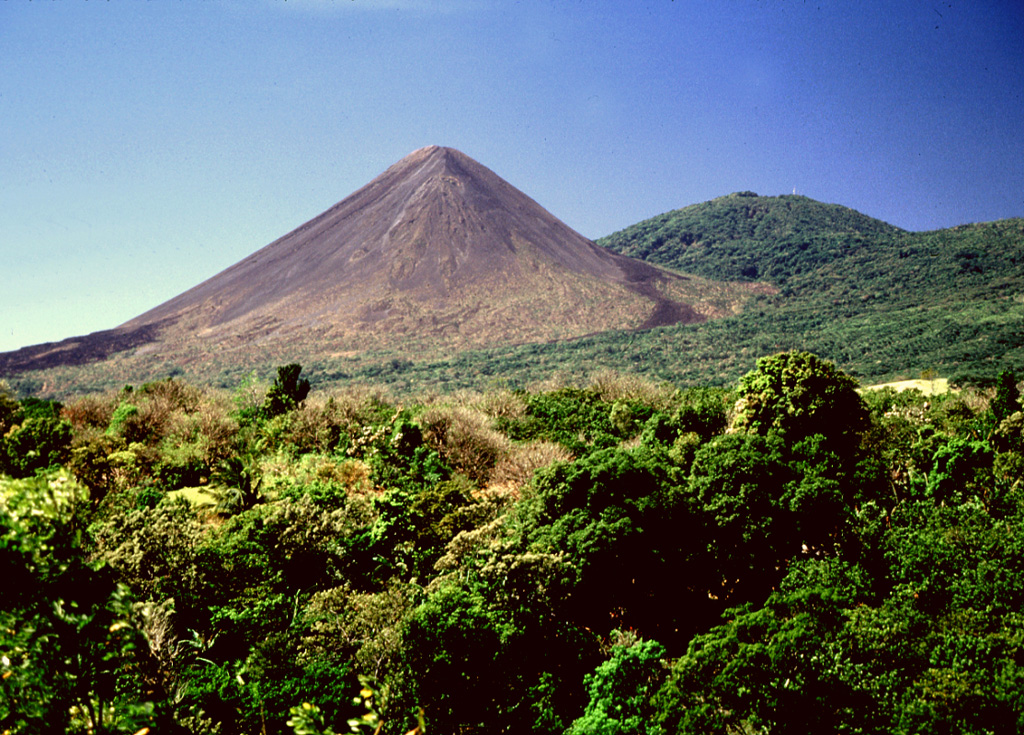 Izalco grew to its present height during a 200-year period since it began erupting in 1770 at an elevation of about 1,300 m on the flank of Santa Ana. Intermittent Strombolian eruptions and the effusion of dominantly basaltic-andesite lava flows built up the volcano so that by the year 1866 the summit was at 1,825 m elevation, by 1866 it was at 1,825 m, by 1892 it was at 1,885 m, by 1951 it was at 1,900 m, by 1953 it was at 1,935, and by 1956 it was at 1,965 m. Photo by Lee Siebert, 2002 (Smithsonian Institution).