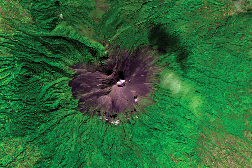 Volcán Popocatépetl is seen in this ASTER satellite image taken in 2001 (N is at the top; this image is approximately 22 km across).. A dilute plume from the summit crater casts a shadow on the upper right flank. The edifice contains the Ventorrillo peak NW of the crater, a remnant of an earlier edifice, and the headwall of the deep Nexpayantla valley down the NW flank. At least three previous major cones were destroyed by gravitational failure during the Pleistocene, producing massive debris avalanche deposits that cover broad areas to the south. ASTER satellite image, 2001 (National Aeronautical and Space Administration, processed by Doug Edmonds).