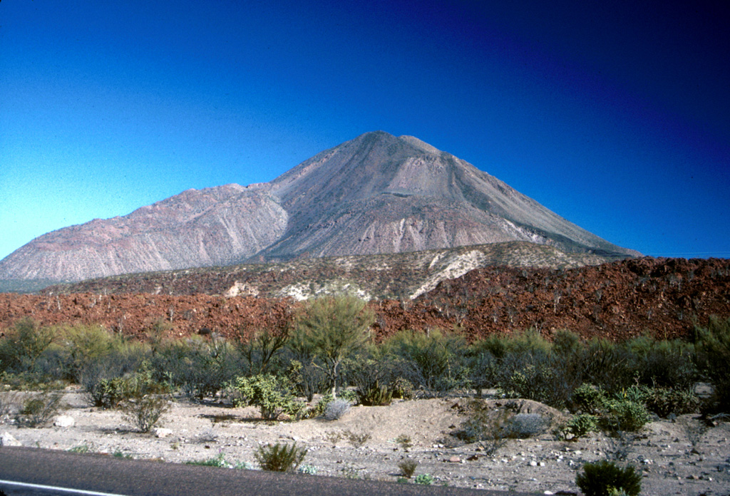 Las Tres Vírgenes is viewed here from the SSE along State Highway 1. The steep-sided Pinto dacite coulée dome is the notable feature on the SW flank (left). Directly in the center, on the S flank, are the Virgen dacite lava domes. The lava flows across the bottom of the photo are part of the Miocene Esperanza Basalt. Photo by Brian Hausback, 1990 (California State University, Sacramento).