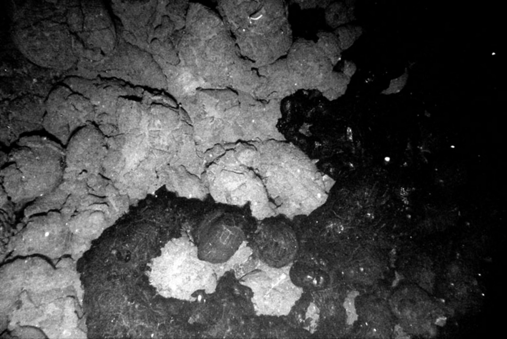 This lava flow was erupted in 1996 along the North Gorda Ridge, the northernmost of five segments of the Gorda Ridge located immediately south of the Blanco Transform Fault, which offsets the Gorda and Juan de Fuca spreading ridges. Submarine cameras revealed new lava flows about 100-200 m wide along a fissure that was at least 3.5 km long. The 65-km-long North Gorda Ridge segment is located about 200 km W of the southern Oregon coast and has an hourglass shape in plan view, with a shallower narrow axial valley at the center. Image courtesy of National Oceanic and Atmospheric Administration, 1996 (http://www.pmel.noaa.gov/vents/home.html).