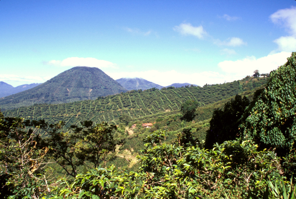 The escarpment cutting diagonally downward across the middle of the photo in front of conical Cerro los Naranjos volcano is the NW wall of a large late-Pleistocene caldera formed by edifice collapse of Santa Ana volcano.  The exposed portion of the collapse scarp is up to about 200 m high along a roughly 5 km segment of the arcuate avalanche caldera.  Pyroclastic ejecta and lava flows from modern Santa Ana volcano have filled in much of the scarp in the foreground and have buried it completely on the northern and eastern sides.   Photo by Paul Kimberly, 2002 (Smithsonian Institution).