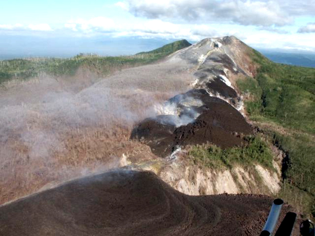 Recently-emplaced lava flows are seen along a SSE line of vents leading towards the summit of Pago in this 16 September 2002 view. The Pago cone that was constructed within the 5.5 x 7.5 km Witori caldera, which formed around 3,300 years ago. Since its formation a few hundred years ago the cone has grown to a height above the caldera rim. A series of ten lava flows, one of which underlies the area of scorched vegetation left of the 2002 lava flows, cover much of the caldera floor. Photo courtesy of Elliot Endo, 2002 (U. S. Geological Survey Volcanic Disaster Assistance Program).