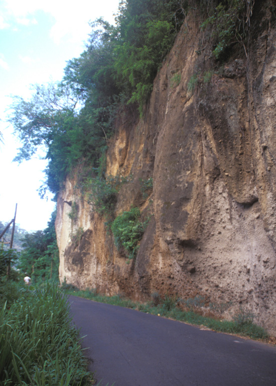 A roadcut in the Roseau River valley on the outskirts of the capital city reveals deposits of the Roseau Tuff.  This thick sequence of pyroclastic flows (sometimes welded), pyroclastic surges, and pumice-lapilli airfall deposits was erupted between about 40,000 and 25,000 years ago.   Photo by Paul Kimberly, 2002 (Smithsonian Institution).