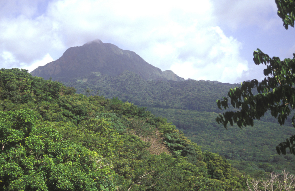 Steep-sided Morne Watt, seen here from the NW, is a lava-dome complex surrounded by block-and-ash flow deposits.  The 1224-m-high volcano was constructed south of the Wotten Waven caldera and is flanked by Morne Anglais (4 km to the SW) and the Grand Soufrière Hills volcano, 3 km to the east.  The renowned Valley of Depression geothermal area cuts the NE flank of Morne Watt and lies out of view to the left. Photo by Lee Siebert, 2002 (Smithsonian Institution).