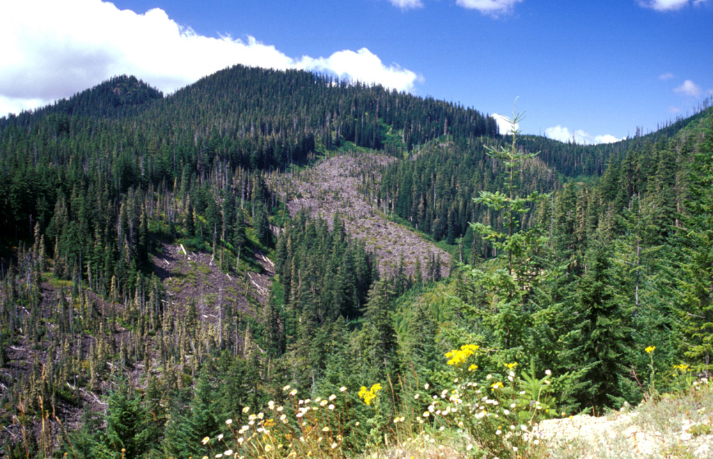 West Crater is a Quaternary volcanic field in the southern Cascades of Washington between Mount St. Helens and Mount Hood. West Crater itself, seen here from the NE, is an andesite lava dome with two small lava flows, one of which forms the bare area in the center. The 290-m-high dome formed about 8,000 years ago on the floor of a cirque carved into older Tertiary volcanic rocks. The West Crater volcanic field consists of a series of small shield volcanoes and scoria cones along a NW-SE zone. Photo by Lee Siebert, 2002 (Smithsonian Institution).