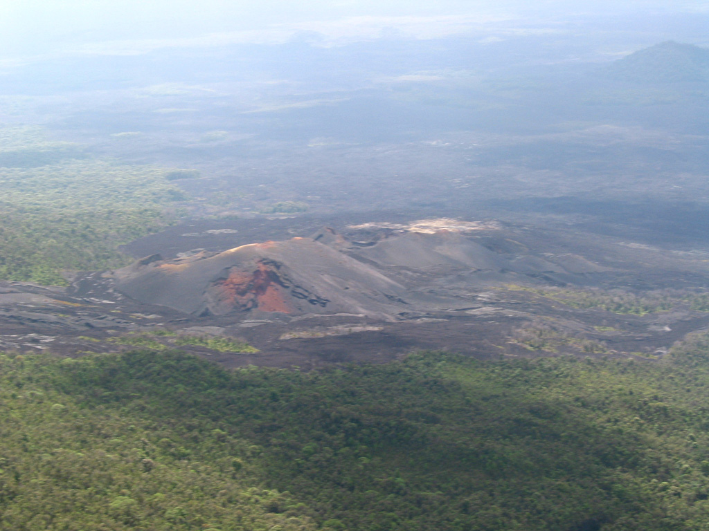 An aerial view of the SE flank of Nyamuragira shows scoria cones that may have formed during an eruption in 2000. The eruption began the morning of 27 January from a fissure on the SE flank near the site of the 1989 eruption, and included explosive activity and lava effusion. Activity diminished by the 31st, but satellite imagery showed thermal anomalies from lava flows on 10 February. Photo by Simon Carn, 2004 (TOMS Volcanic Emissions Group, University of Maryland, Baltimore County).
