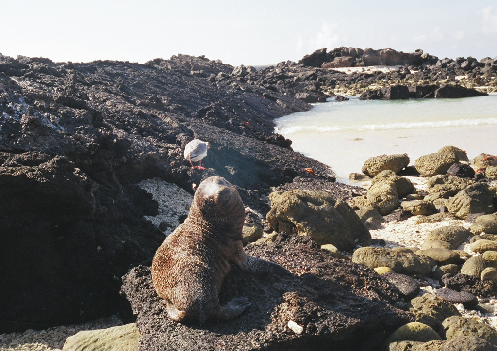 Volcano photo slideshow