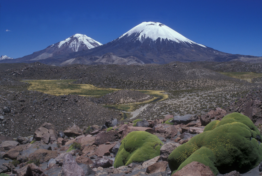 The Nevados de Payachata volcanic group, the scenic highlight of Lauca National Park, is seen here from the SW and consists of the symmetrical, 6348-m-high Parinacota volcano (right) and its older twin volcano, Pleistocene 6222-m-high Pomerape volcano (left).  Collapse of Parinacota about 8000 years ago produced a 6 cu km debris avalanche that formed the hummocky terrain in the foreground, with the colorful Llareta plant at the lower right.  Hummocks in this medial portion of the avalanche deposit are about 50-100 m high. Photo by Lee Siebert, 2004 (Smithsonian Institution).