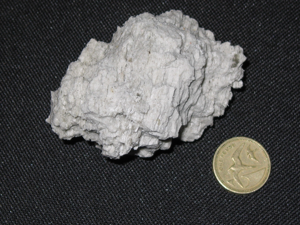 This pumice block, with a one-pound coin for scale (diameter ~24 mm), was collected from the ocean surface near Tristan da Cunha on 3 August 2004. An earthquake swarm lasting 6 hours beginning on 29 July was felt on the island and followed by observations of large blocks of floating pumice. Photo by Vicky Hards, 2004 (British Geological Survey, copyrighted NERC).