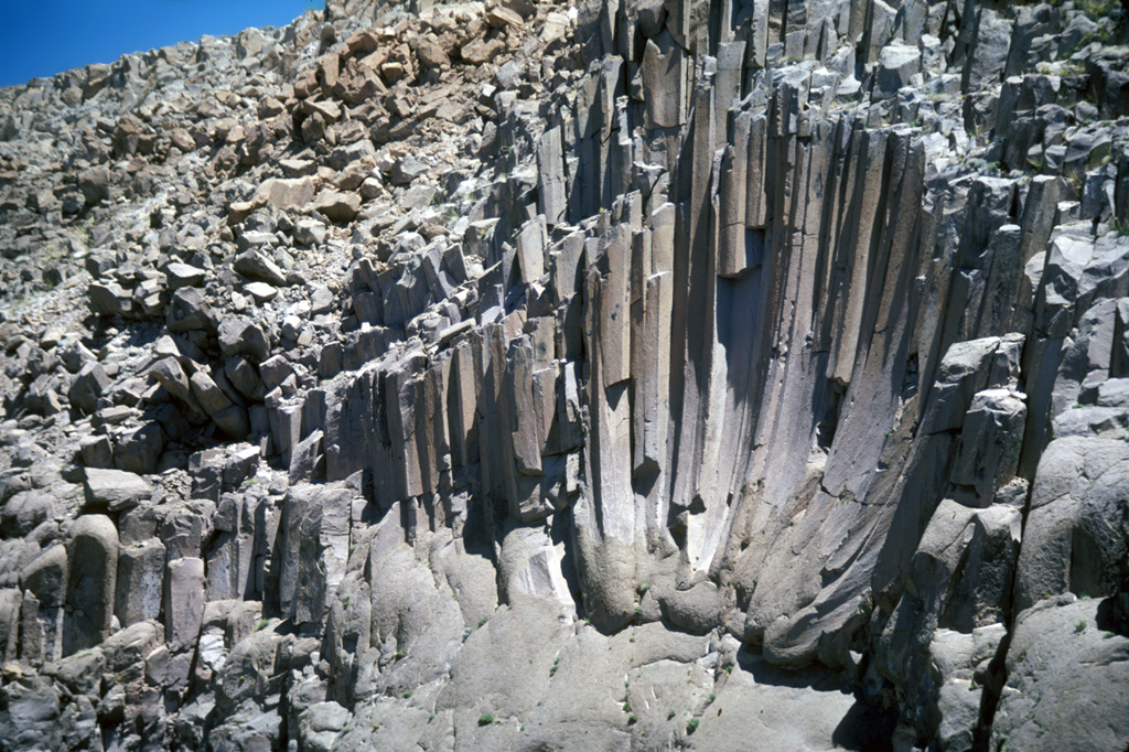 These curved columnar joints in the Bishop Tuff are exposed in Owens River Gorge SW of Long Valley caldera in California. The 5- to 6-sided columns are about 1-3 m wide and curve downward to a common point, forming a feature known as a joint rosette. The rosettes are the site of large fossil fumaroles and often are overlain by fumarole mounds. These mounds may have formed as a result of volatiles produced when the hot Bishop pyroclastic flows overran and vaporized the ancestral Owens River. Photo by R.V. Fisher, 1984 (University of California Santa Barbara).